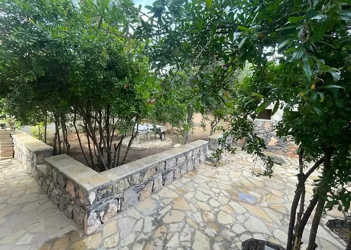 Rose Guesthouse