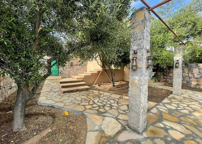 Rose Guesthouse